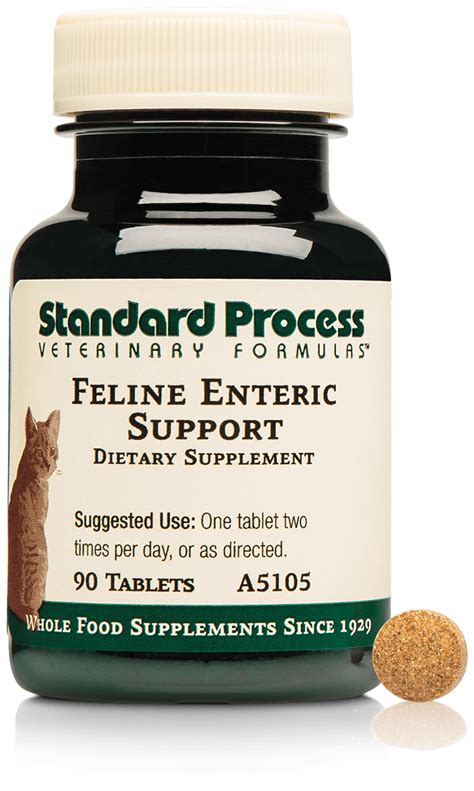 standard process feline enteric support